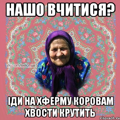 НАШО ВЧИТИСЯ? ІДИ НА ХФЕРМУ КОРОВАМ ХВОСТИ КРУТИТЬ