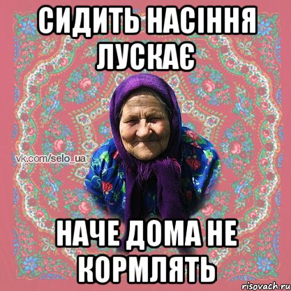 СИДИТЬ НАСІННЯ ЛУСКАЄ НАЧЕ ДОМА НЕ КОРМЛЯТЬ