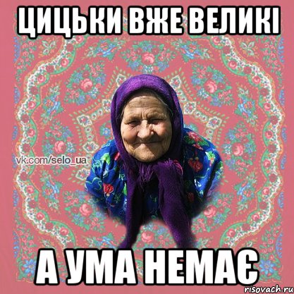 ЦИЦЬКИ ВЖЕ ВЕЛИКІ А УМА НЕМАЄ