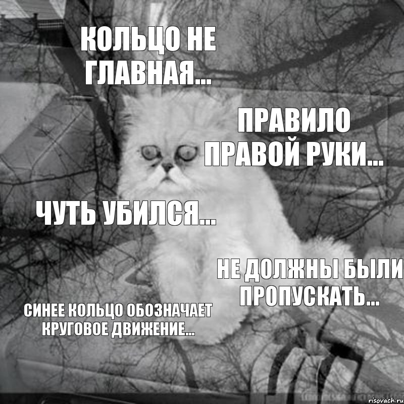 кольцо не главная... правило правой руки... чуть убился... не должны были пропускать... синее кольцо обозначает круговое движение...