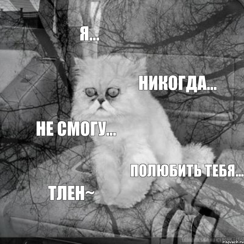 Я... Никогда... Не смогу... Полюбить тебя... ТЛЕН~