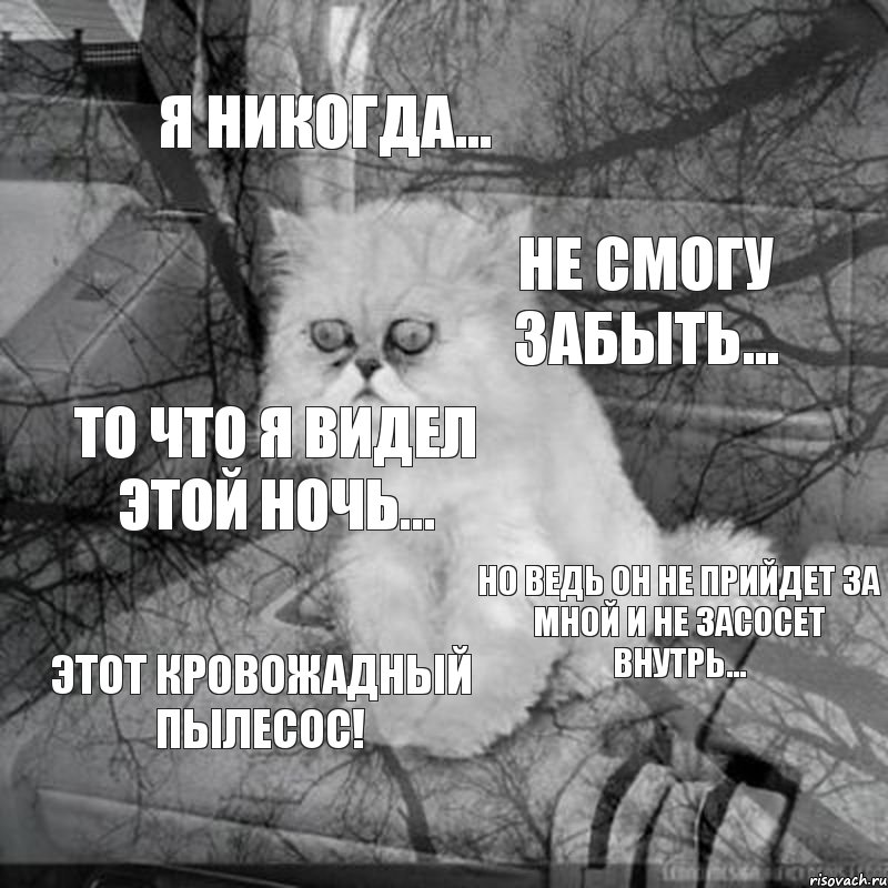 Я никогда... Не смогу забыть... То что я видел этой ночь... Но ведь он не прийдет за мной и не засосет внутрь... Этот кровожадный ПЫЛЕСОС!