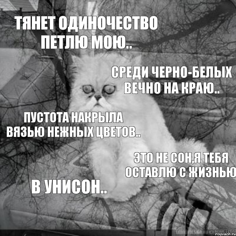 Тянет одиночество петлю мою.. Среди черно-белых вечно на краю.. Пустота накрыла вязью нежных цветов.. Это не сон,я тебя оставлю с жизнью В унисон..