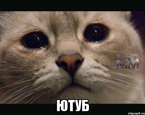  Ютуб