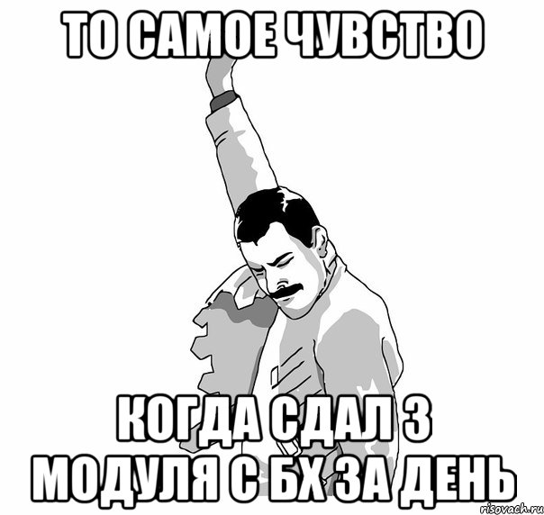 ТО САМОЕ ЧУВСТВО КОГДА СДАЛ 3 МОДУЛЯ С БХ ЗА ДЕНЬ, Мем   Фрэдди Меркьюри (успех)