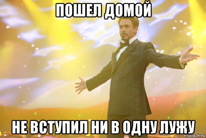 Пошел домой не вступил ни в одну лужу, Мем Тони Старк (Роберт Дауни младший)