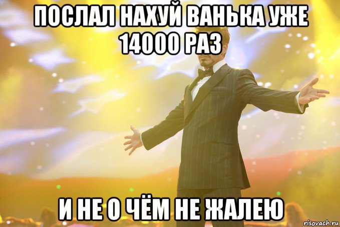 Послал нахуй Ванька уже 14000 раз И не о чём не жалею, Мем Тони Старк (Роберт Дауни младший)