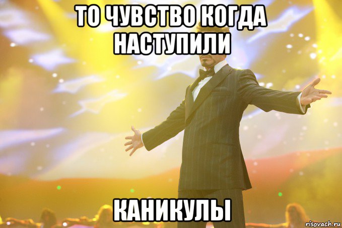 То чувство когда наступили КАНИКУЛЫ, Мем Тони Старк (Роберт Дауни младший)