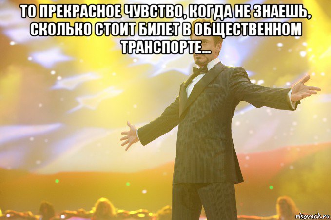 То прекрасное чувство, когда не знаешь, сколько стоит билет в общественном транспорте... , Мем Тони Старк (Роберт Дауни младший)