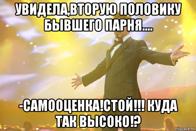 Увидела,вторую половику бывшего парня.... -Самооценка!СТОЙ!!! куда так высоко!?, Мем Тони Старк (Роберт Дауни младший)