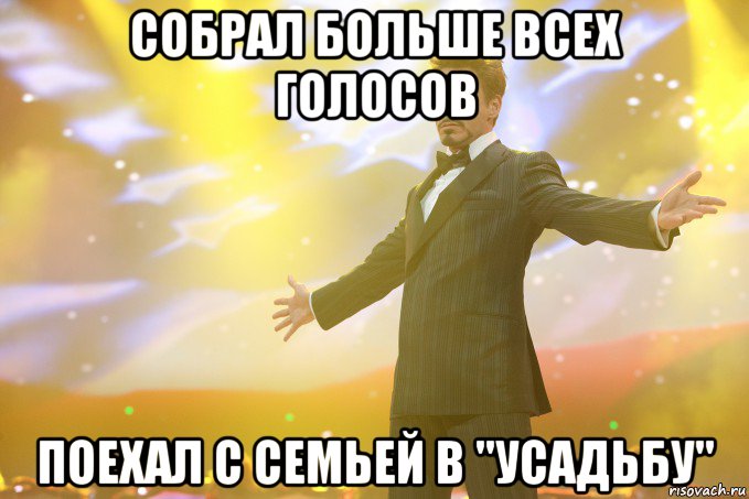 Собрал больше всех голосов Поехал с семьей в "Усадьбу", Мем Тони Старк (Роберт Дауни младший)