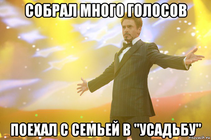 Собрал много голосов Поехал с семьей в "Усадьбу", Мем Тони Старк (Роберт Дауни младший)