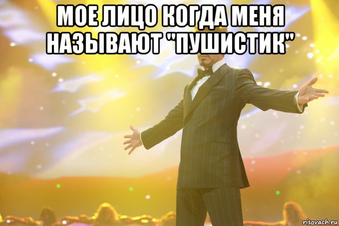 Мое лицо когда меня называют "Пушистик" , Мем Тони Старк (Роберт Дауни младший)