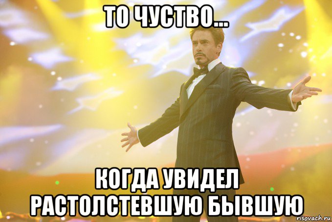 ТО ЧУСТВО... КОГДА УВИДЕЛ РАСТОЛСТЕВШУЮ БЫВШУЮ, Мем Тони Старк (Роберт Дауни младший)