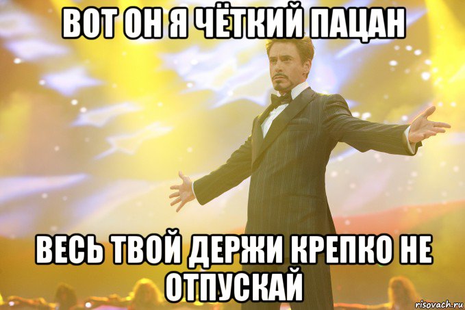 вот он я чёткий пацан весь твой держи крепко не отпускай, Мем Тони Старк (Роберт Дауни младший)