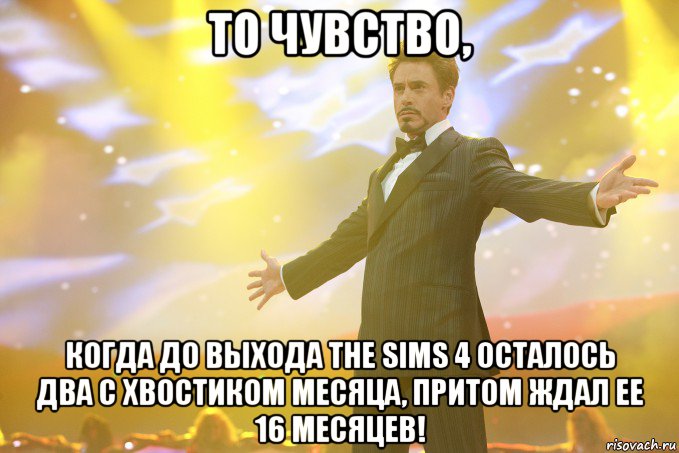 То чувство, когда до выхода The Sims 4 осталось два с хвостиком месяца, притом ждал ее 16 месяцев!, Мем Тони Старк (Роберт Дауни младший)