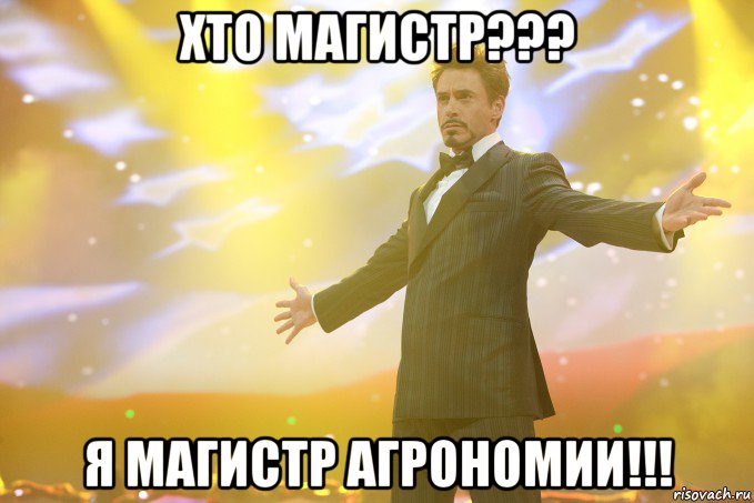 ХТО МАГИСТР??? я МАГИСТР АГРОНОМИИ!!!, Мем Тони Старк (Роберт Дауни младший)
