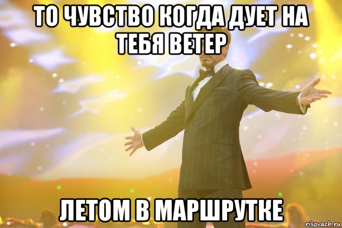 то чувство когда дует на тебя ветер летом в маршрутке, Мем Тони Старк (Роберт Дауни младший)