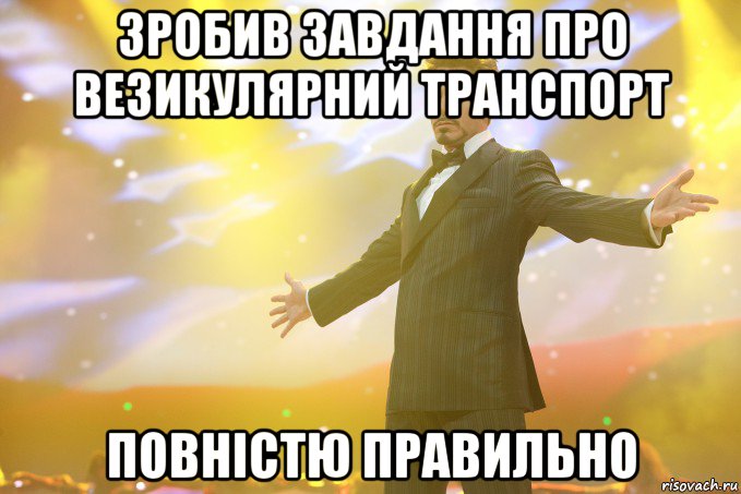 Зробив завдання про везикулярний транспорт повністю правильно, Мем Тони Старк (Роберт Дауни младший)