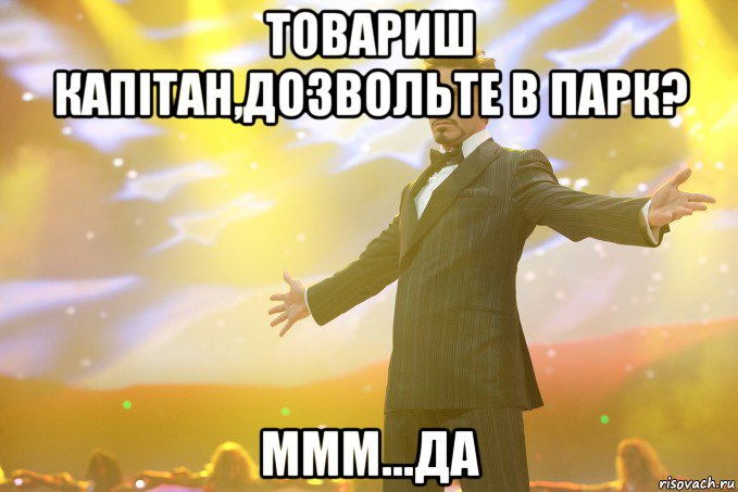 Товариш капітан,дозвольте в парк? ммм...да, Мем Тони Старк (Роберт Дауни младший)