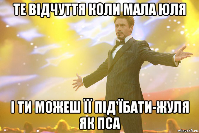 ТЕ ВІДЧУТТЯ КОЛИ МАЛА ЮЛЯ І ТИ МОЖЕШ ЇЇ ПІД'ЇБАТИ-ЖУЛЯ ЯК ПСА, Мем Тони Старк (Роберт Дауни младший)