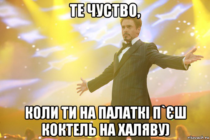 Те чуство, Коли ти на палаткі п`єш коктель на халяву), Мем Тони Старк (Роберт Дауни младший)