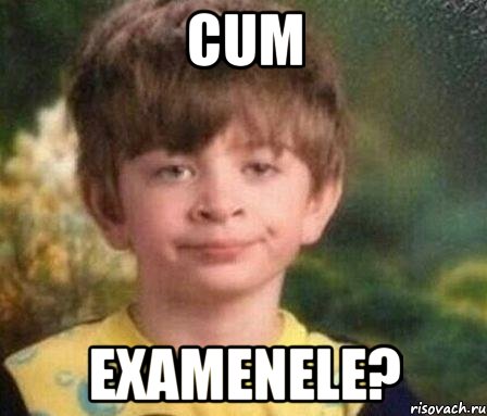 cum examenele?, Мем Мальчик в пижаме