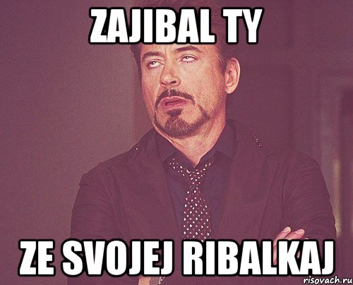 Zajibal ty ze svojej ribalkaj, Мем твое выражение лица
