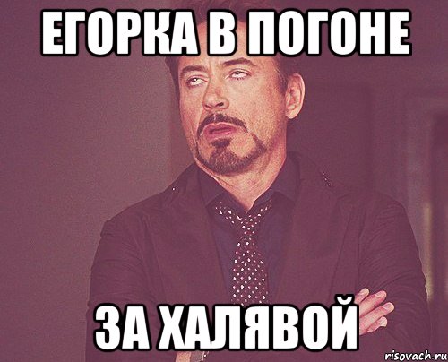 ЕГОРКА В ПОГОНЕ ЗА ХАЛЯВОЙ, Мем твое выражение лица