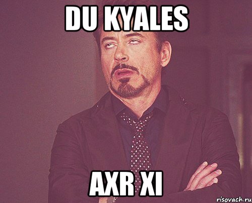 DU KYALES AXR XI, Мем твое выражение лица