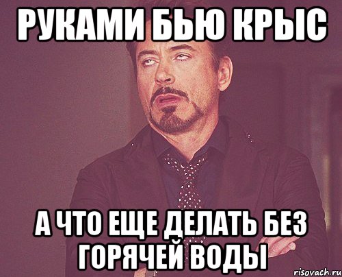 Руками бью крыс А что еще делать без горячей воды, Мем твое выражение лица