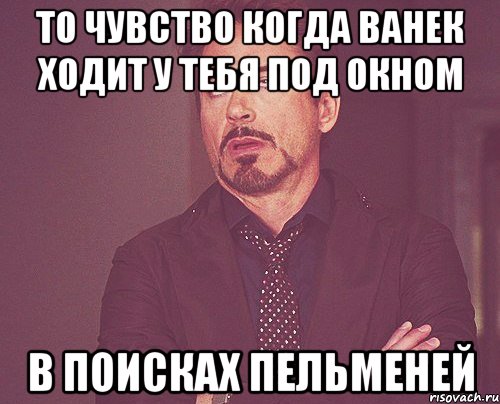 То чувство когда Ванек ходит у тебя под окном в поисках пельменей, Мем твое выражение лица