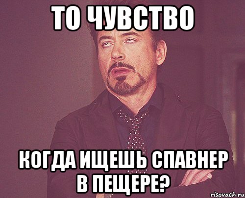 ТО ЧУВСТВО КОГДА ИЩЕШЬ СПАВНЕР В ПЕЩЕРЕ?, Мем твое выражение лица