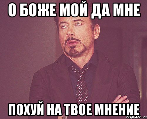 о боже мой да мне похуй на твое мнение, Мем твое выражение лица