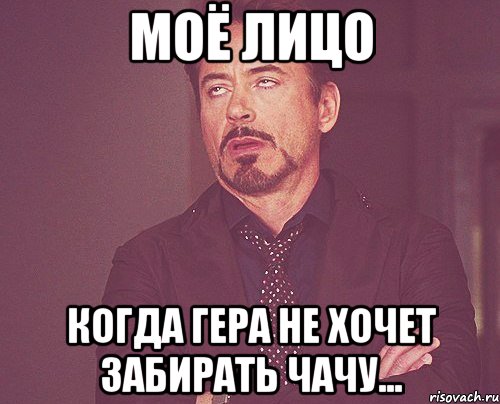МОЁ ЛИЦО КОГДА ГЕРА НЕ ХОЧЕТ ЗАБИРАТЬ ЧАЧУ..., Мем твое выражение лица