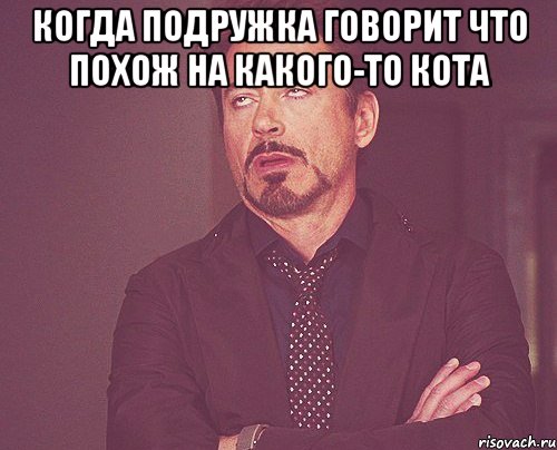 Когда подружка говорит что похож на какого-то кота , Мем твое выражение лица