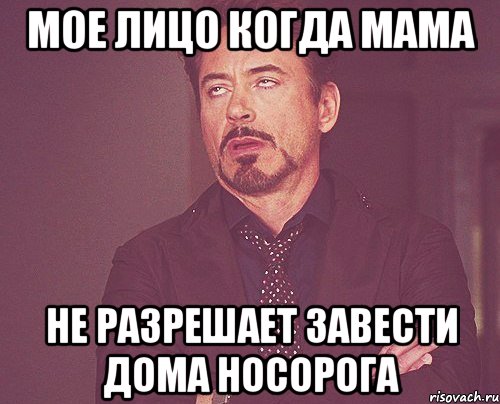 мое лицо когда мама не разрешает завести дома носорога, Мем твое выражение лица