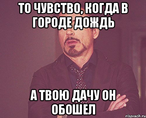 ТО ЧУВСТВО, КОГДА В ГОРОДЕ ДОЖДЬ А ТВОЮ ДАЧУ ОН ОБОШЕЛ, Мем твое выражение лица