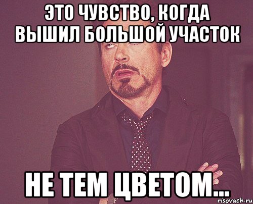 Это чувство, когда вышил большой участок не тем цветом..., Мем твое выражение лица