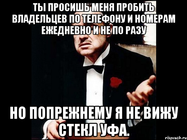 Ты просишь меня пробить владельцев по телефону и номерам ежедневно и не по разу Но попрежнему я не вижу стекл УФа., Мем ты делаешь это без уважения