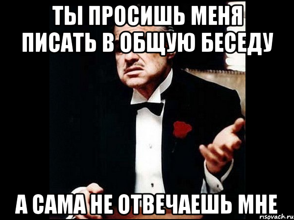 Ты просишь меня писать в общую беседу А сама не отвечаешь мне, Мем ты делаешь это без уважения