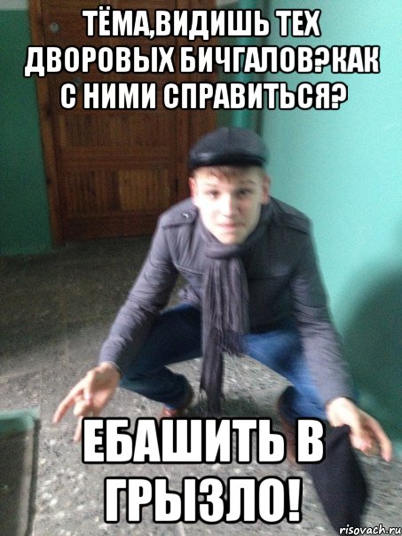 Тёма,видишь тех дворовых бичгалов?Как с ними справиться? Ебашить в грызло!