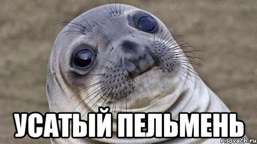  усатый пельмень