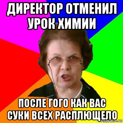 директор отменил урок химии после гого как вас суки всех расплющело, Мем Типичная училка