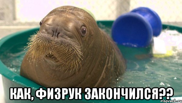  Как, физрук закончился??