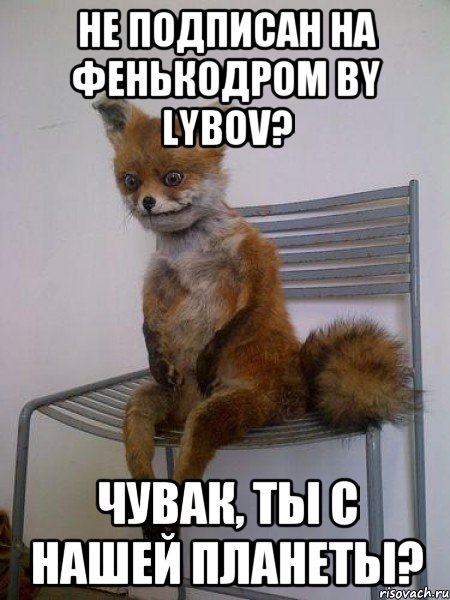 Не подписан на Фенькодром by Lybov? Чувак, ты с нашей планеты?, Мем Упоротая лиса