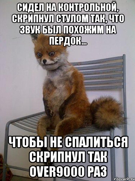 Сидел на контрольной, скрипнул стулом так, что звук был похожим на пердок... Чтобы не спалиться скрипнул так over9000 раз, Мем Упоротая лиса