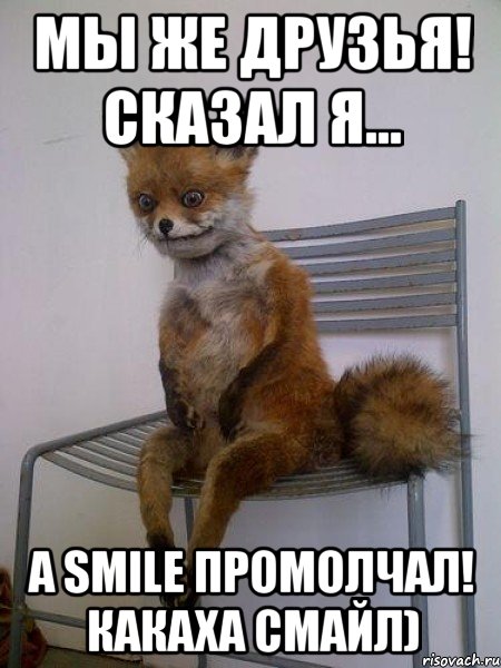 Мы же друзья! Сказал Я... А Smile промолчал! Какаха смайл), Мем Упоротая лиса