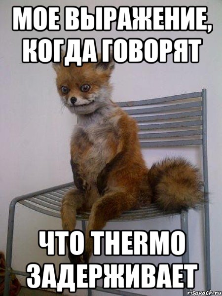 мое выражение, когда говорят что Thermo задерживает, Мем Упоротая лиса