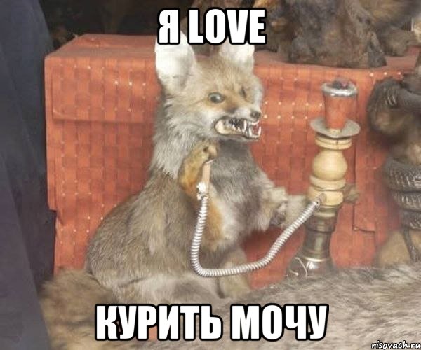 я love курить мочу